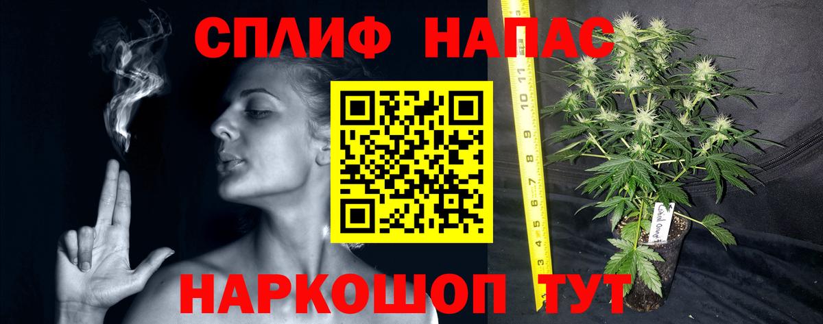 Шишки марихуана семена Назрань